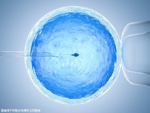 代怀生子机构